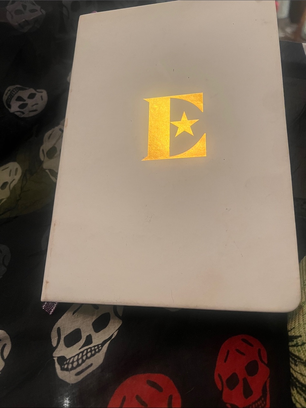 Elton John Farewell Tour VIP Journal
